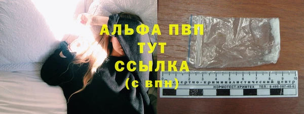 экстази Арсеньев